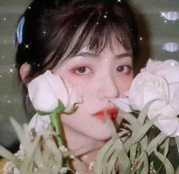 芫荽与欧芹 海报